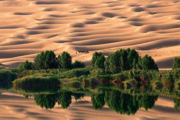 梦见绿洲：沙漠绿洲，成功之兆