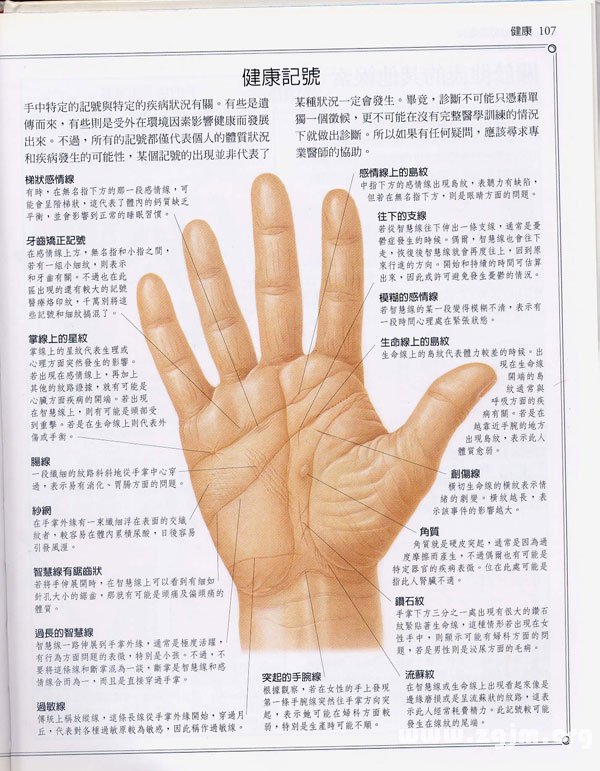 《手相学习百科》：手相看健康