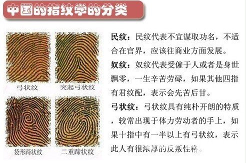 中国指纹学的分类