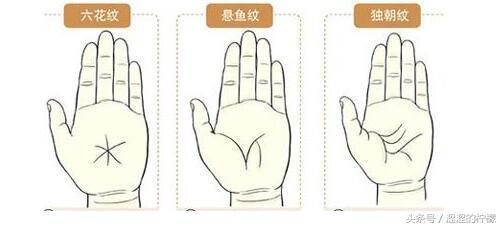 各种手掌纹路寓意解析，找到你的手纹了吗？