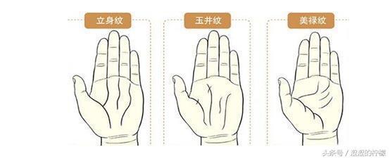 各种手掌纹路寓意解析，找到你的手纹了吗？