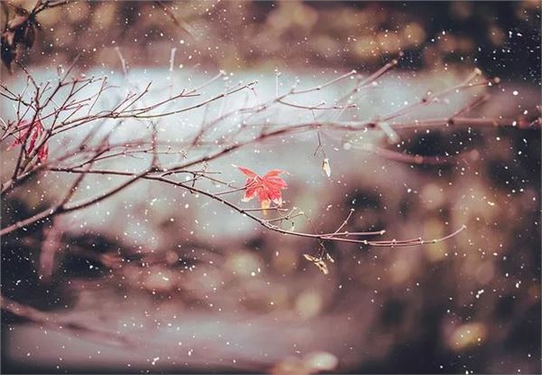 11月22日进入小雪节气,这个时节的传统民俗有哪些_小雪